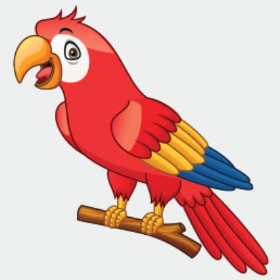 parrot – vẹt