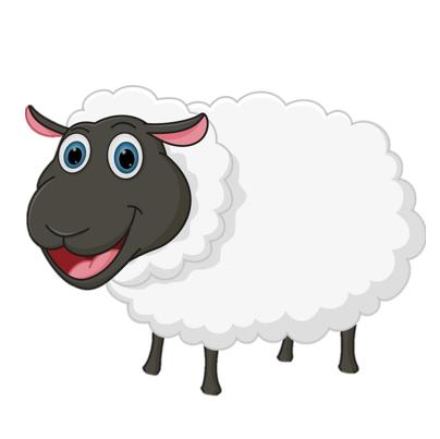 sheep – cừu