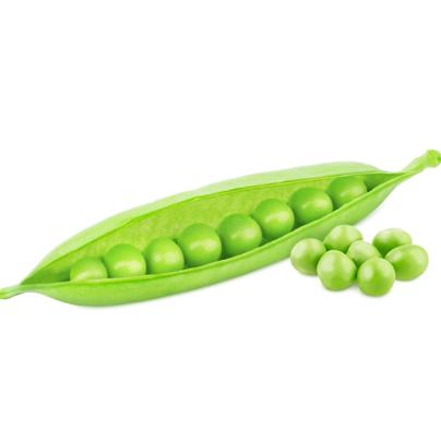 Pea – đậu hà lan