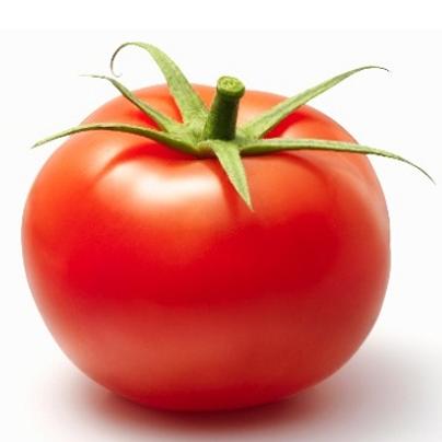 Tomato – cà chua