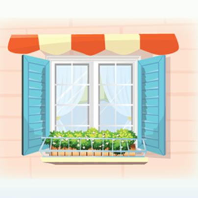 window – cửa sổ