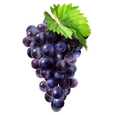 Grape – nho