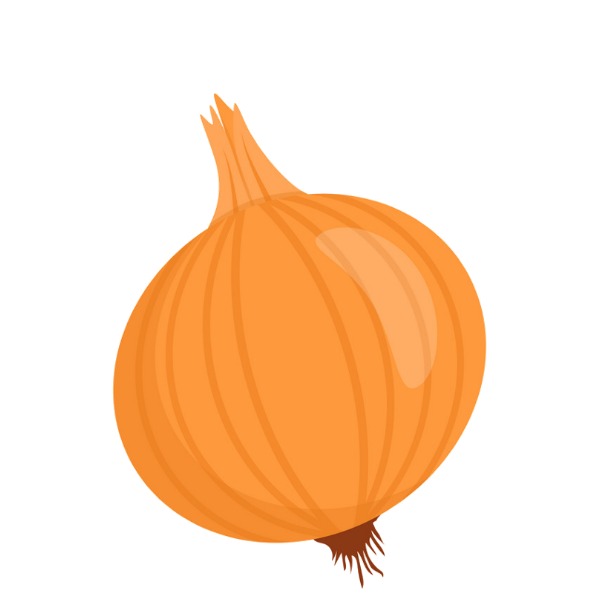 Onion – hành tây