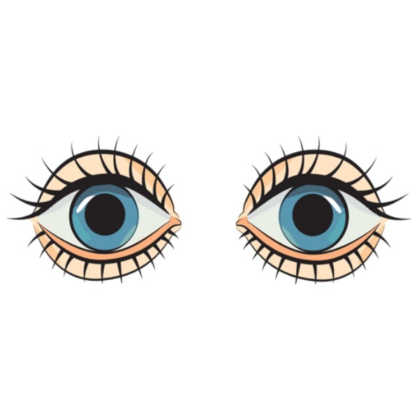 eye – mắt