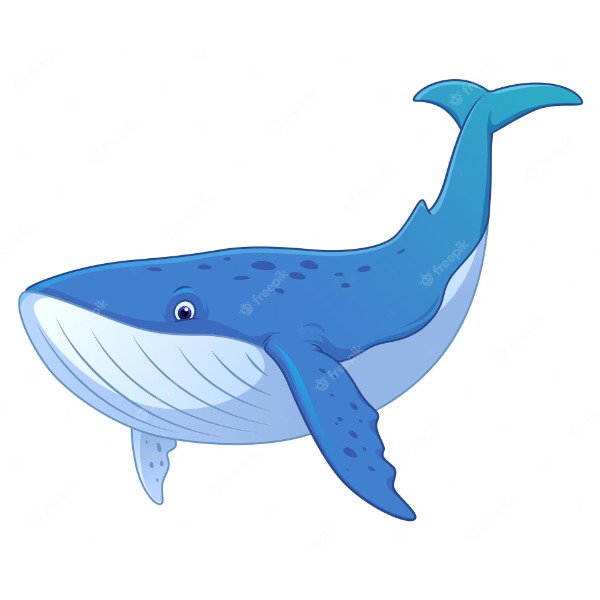 Whale – cá voi