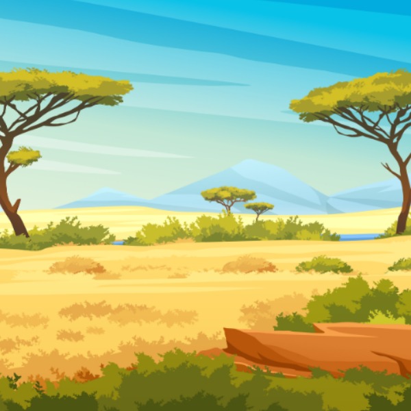 savanna – thảo nguyên
