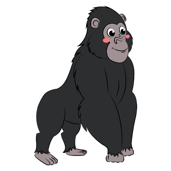 Gorilla – con gorilla