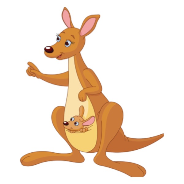 Kangaroo – Chuột túi
