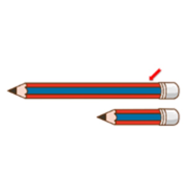 Long – dài