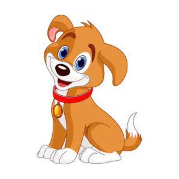 Dog – chó