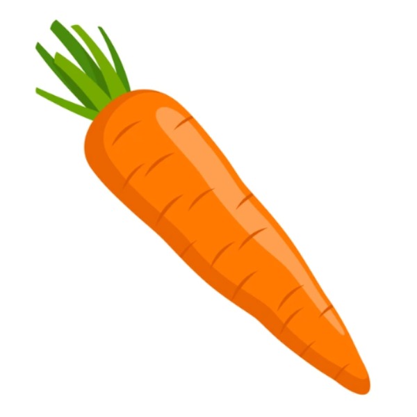 Carrot – cà rốt