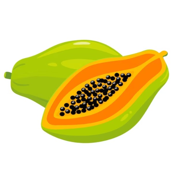 Papaya – đu đủ