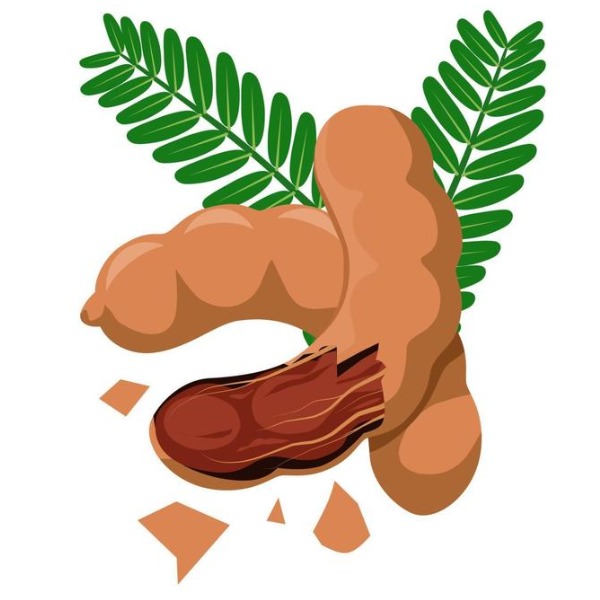 tamarind – me