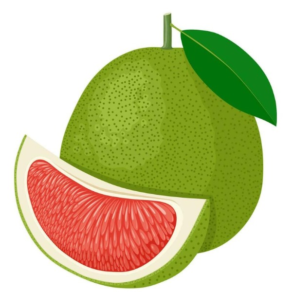 Pomelo – bưởi