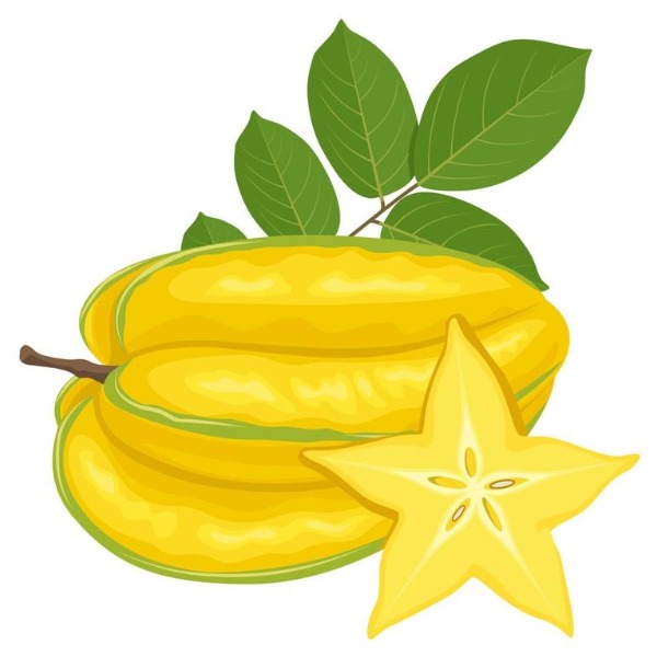 Star fruit – khế