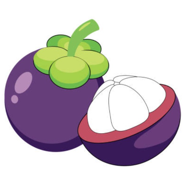 Mangosteen – măng cụt