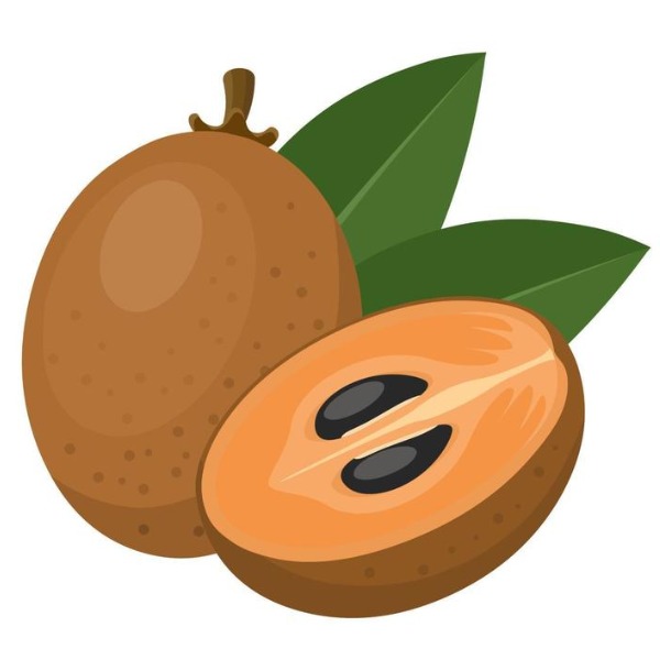 Sapodilla – sapoche