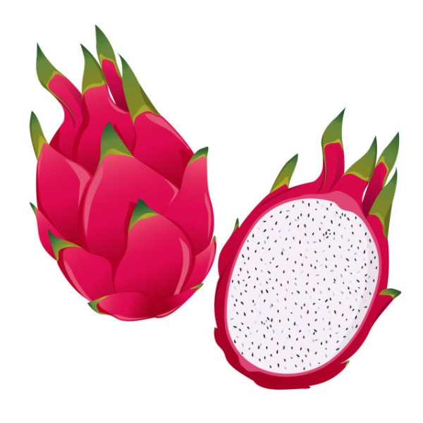 Dragon fruit – thanh long