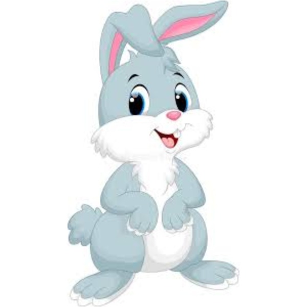 Rabbit – thỏ
