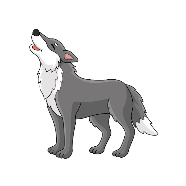 Wolf – sói