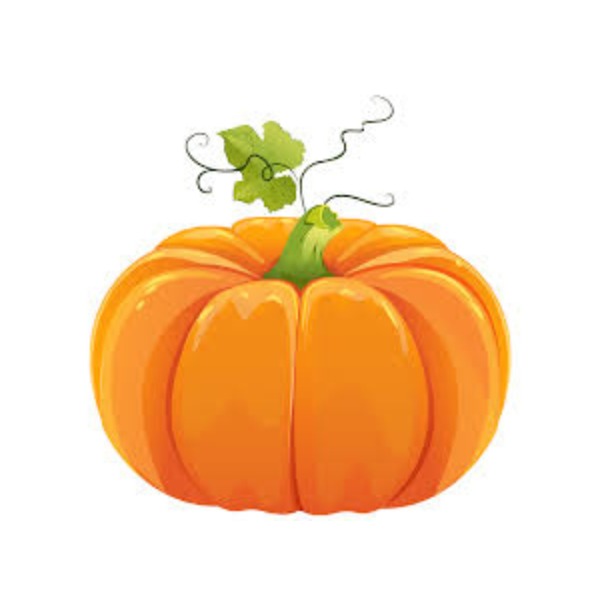 Pumpkin – bí ngô