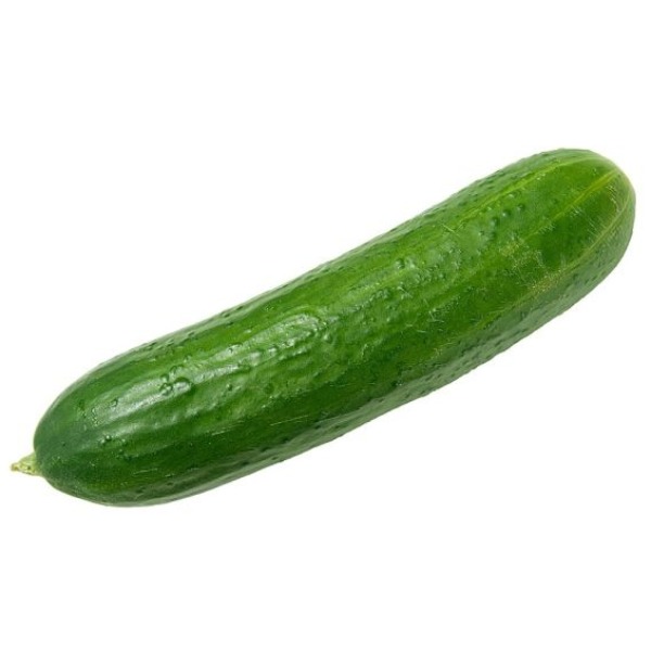 Cucumber – dưa leo