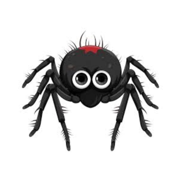 Spider – nhện