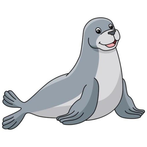 seal – hải cẩu