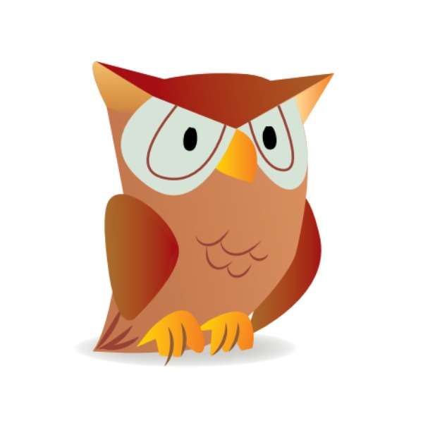 Owl – cú